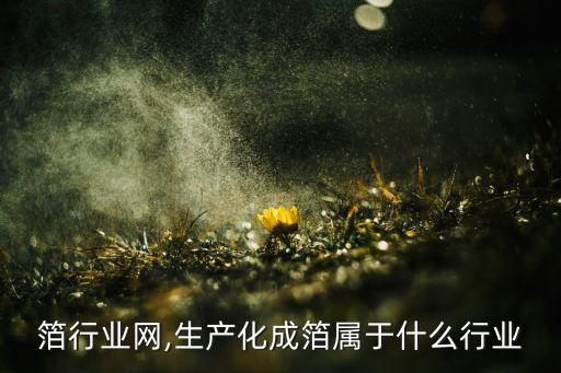 箔行业网,生产化成箔属于什么行业