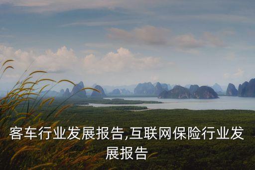中国客车行业发展报告,互联网保险行业发展报告