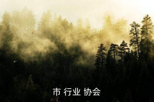 海宁市 行业 协会