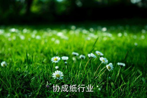 潮州协成纸行业