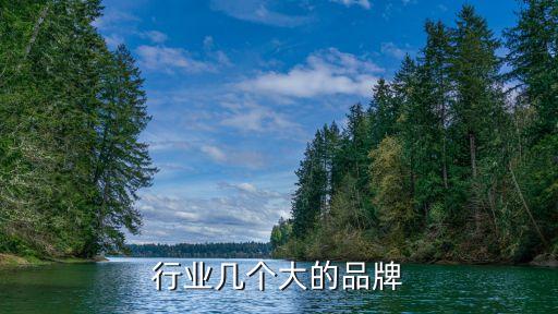 行业几个大的品牌