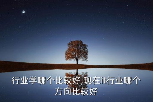 行业学哪个比较好,现在it行业哪个方向比较好