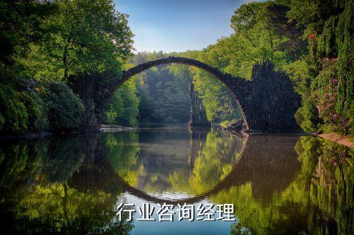 行业咨询经理