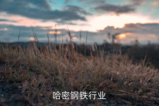 哈密钢铁行业