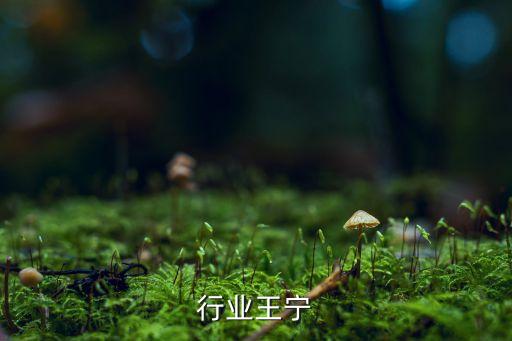 行业王宁