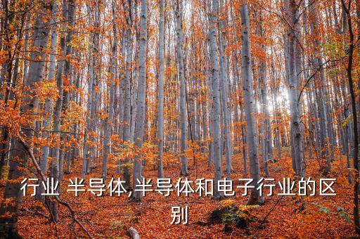 行业 半导体,半导体和电子行业的区别