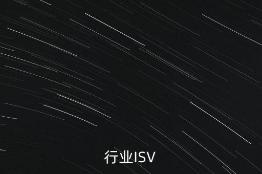 汽车行业ISV