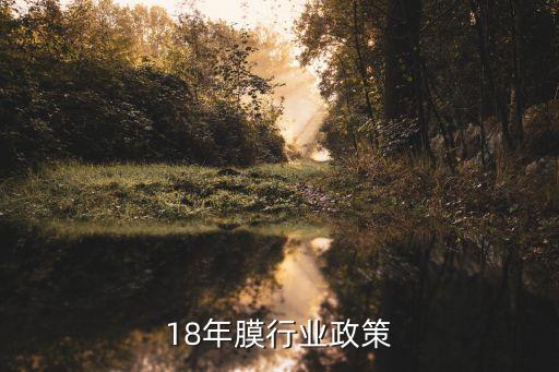 18年膜行业政策