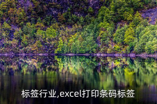 条码标签行业,excel打印条码标签
