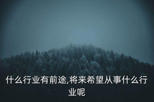 将来什么行业有前途,将来希望从事什么行业呢?