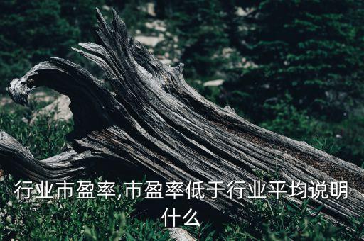 行业市盈率,市盈率低于行业平均说明什么