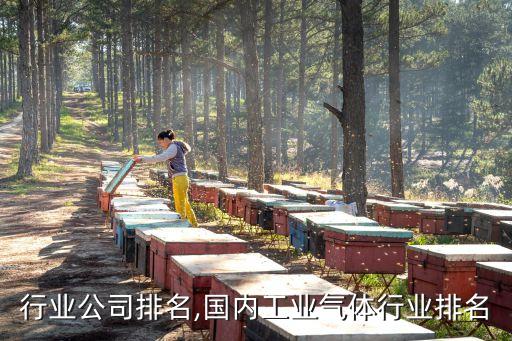 工业行业公司排名,国内工业气体行业排名