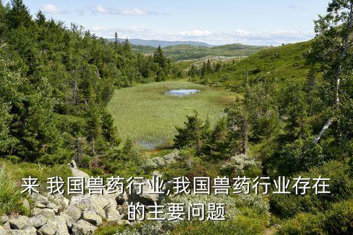 来 我国兽药行业,我国兽药行业存在的主要问题