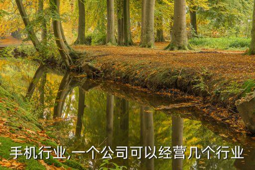 经营手机行业,一个公司可以经营几个行业