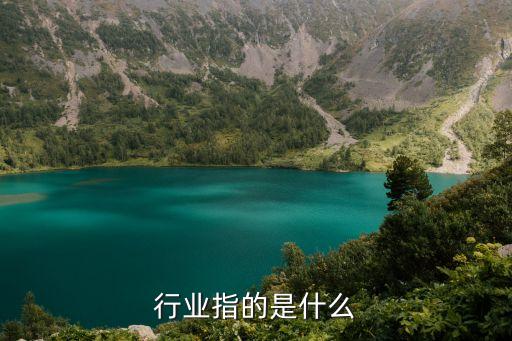 行业指的是什么