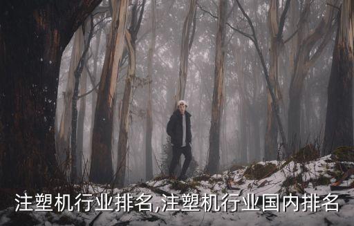 注塑机行业排名,注塑机行业国内排名