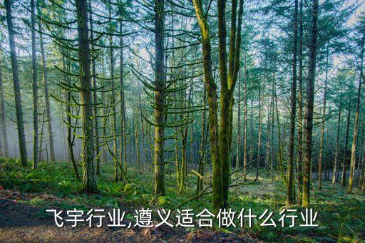 遵义飞宇行业,遵义适合做什么行业