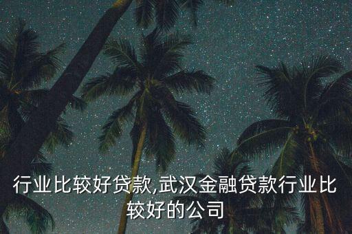 哪些行业比较好贷款,武汉金融贷款行业比较好的公司