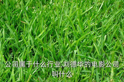 电影公司属于什么行业,刘德华的电影公司叫什么