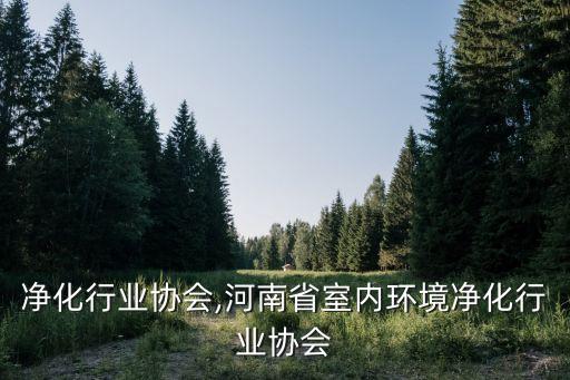 上海净化行业协会,河南省室内环境净化行业协会