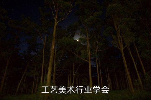 中国工艺美术行业学会