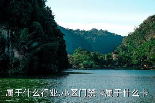 门禁属于什么行业,小区门禁卡属于什么卡