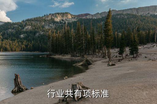 行业共有项标准