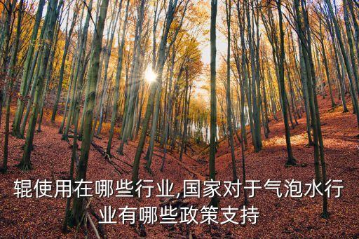 辊使用在哪些行业,国家对于气泡水行业有哪些政策支持