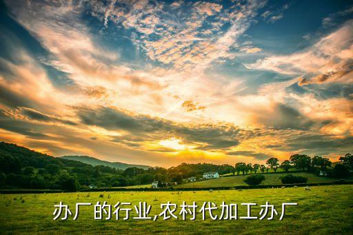办厂的行业,农村代加工办厂