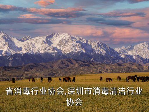 省消毒行业协会,深圳市消毒清洁行业协会