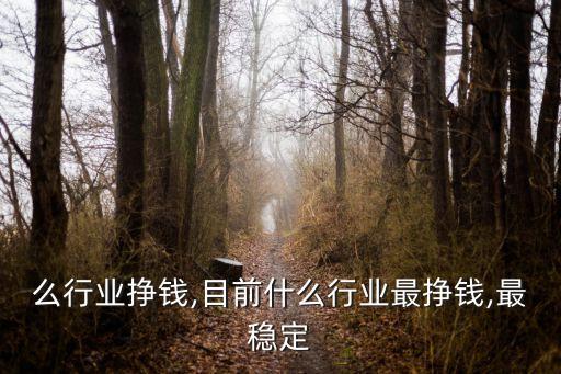 搞什么行业挣钱,目前什么行业最挣钱,最稳定?