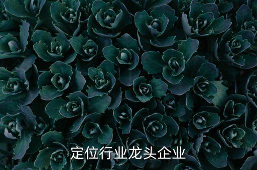 定位行业龙头企业