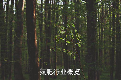 氮肥行业概览