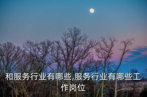 消费和服务行业有哪些,服务行业有哪些工作岗位