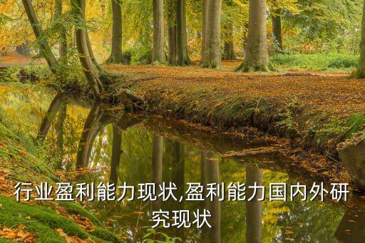 包装行业盈利能力现状,盈利能力国内外研究现状