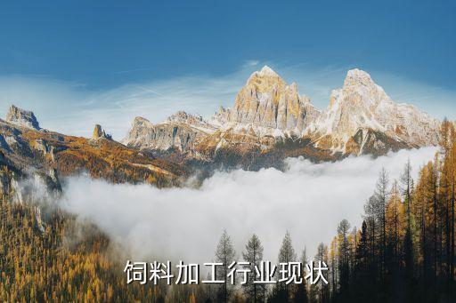 饲料加工行业现状