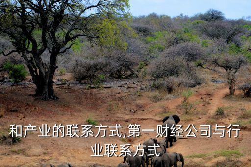 和产业的联系方式,第一财经公司与行业联系方式