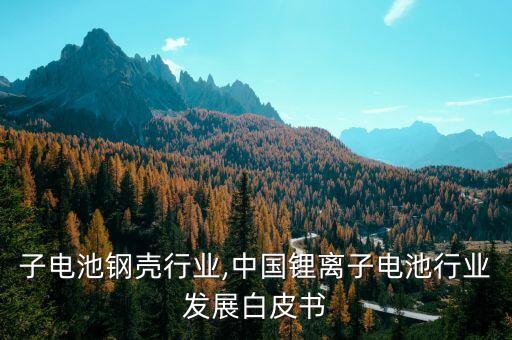 锂离子电池钢壳行业,中国锂离子电池行业发展白皮书