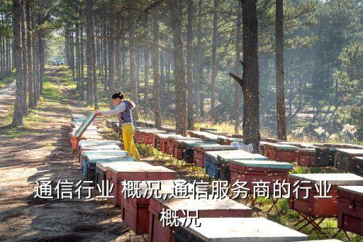 深圳 通信行业 概况,通信服务商的行业概况
