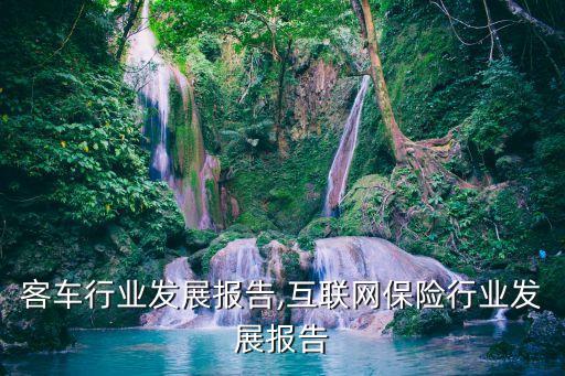 客车行业发展报告,互联网保险行业发展报告