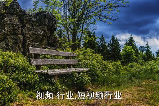 原创视频 行业,短视频行业