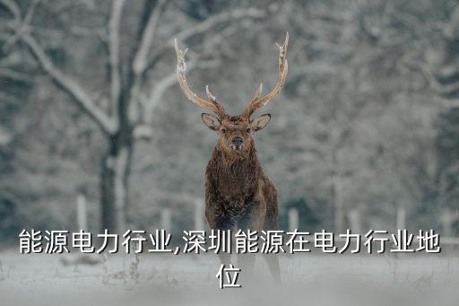未来能源电力行业,深圳能源在电力行业地位