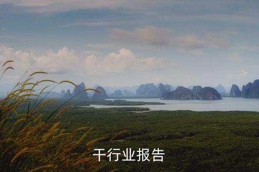 牛肉干行业报告