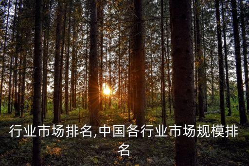 行业市场排名,中国各行业市场规模排名