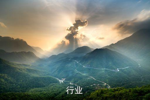 尼龙行业