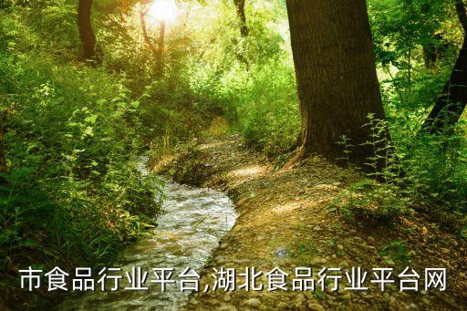 榆林市食品行业平台,湖北食品行业平台网