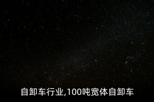自卸车行业,100吨宽体自卸车