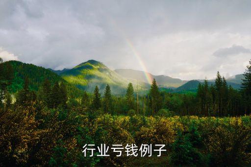 选错行业亏钱例子