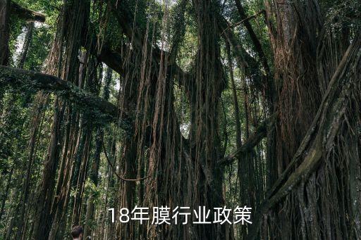 18年膜行业政策