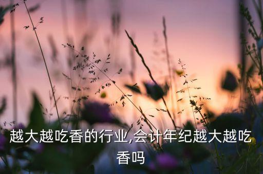 越大越吃香的行业,会计年纪越大越吃香吗